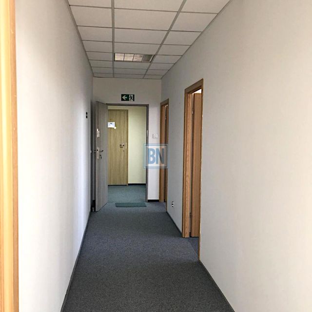 Lokal Gliwice wynajem