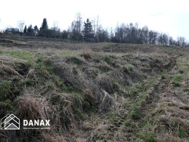 Działka Golkowice