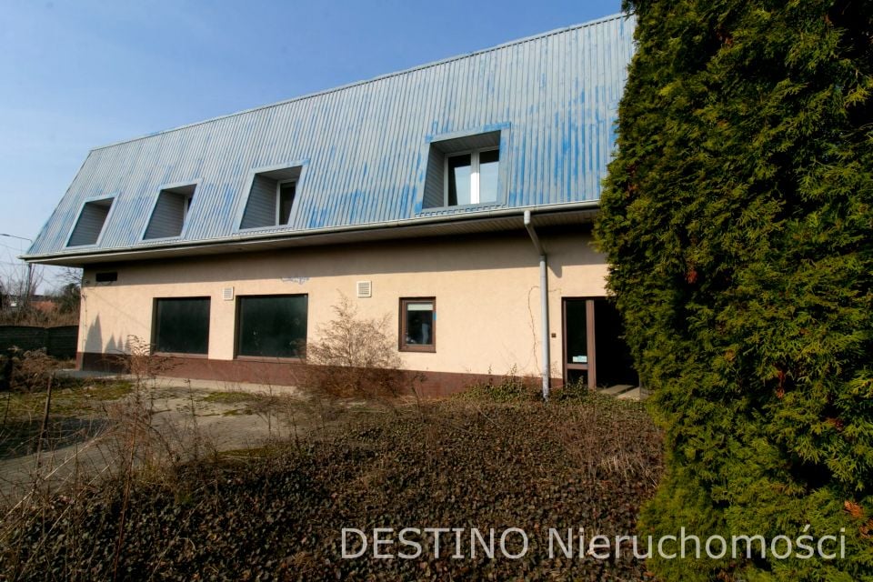 Zdjęcie 2