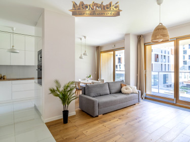 Mieszkanie apartamentowiec wynajem