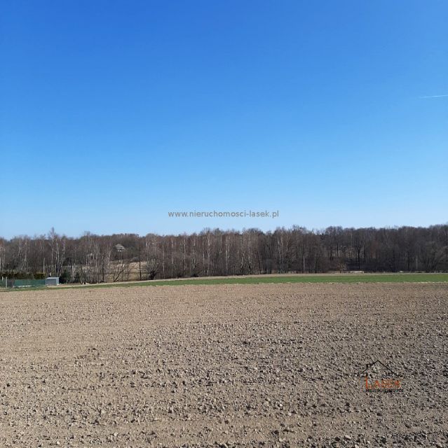 Działka budowlana Chocznia sprzedam