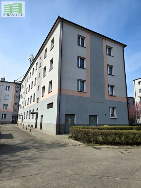 Zdjęcie 2