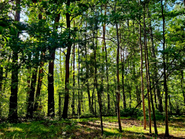 Działka budowlana Duchnów sprzedam