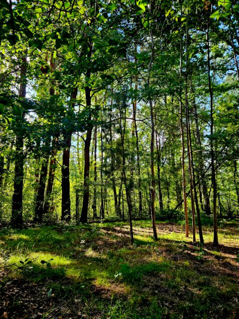 Działka budowlana Duchnów sprzedam