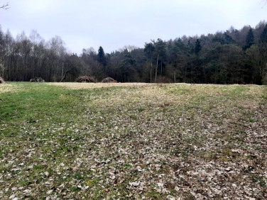 Działka rolna Aleksandrowice sprzedam