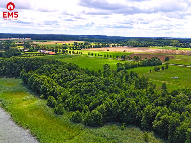 Działka przy lesie