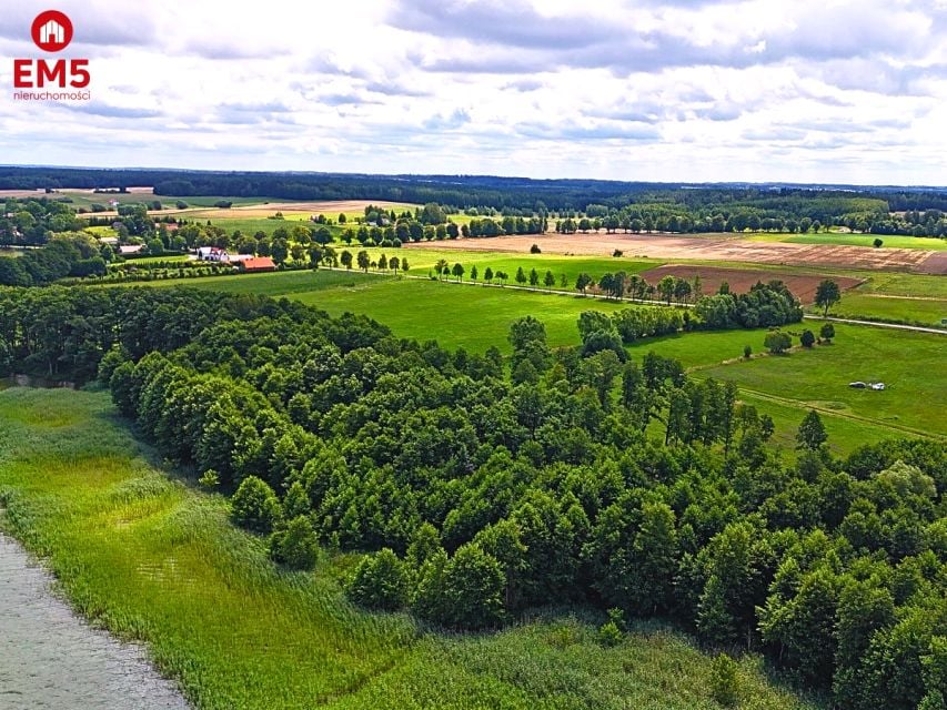 Działka przy lesie