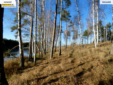 Działka Stara Dąbrowa