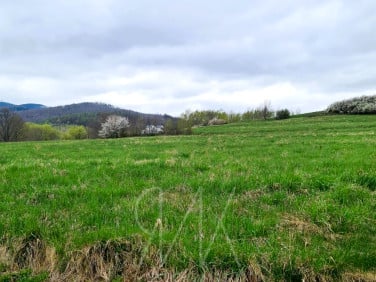 Działka Stare Bogaczowice
