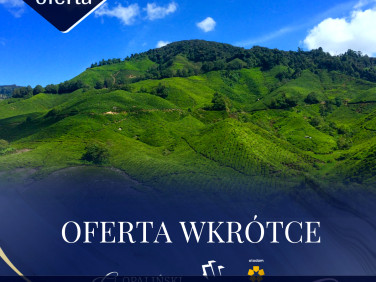 Działka inna Lipina