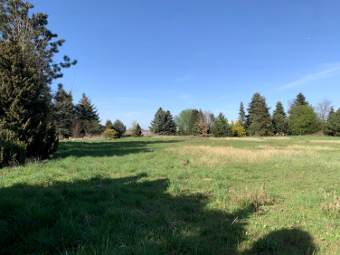 Ogrodzona działka Skałowo