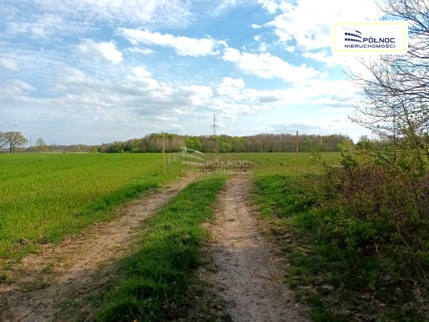 Działka siedliskowa Wodnica