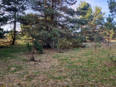 Działka budowlana Dziekanów Polski sprzedam