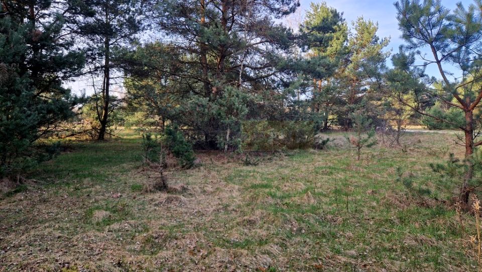 Działka budowlana Dziekanów Polski sprzedam