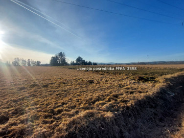 Działka przy lesie