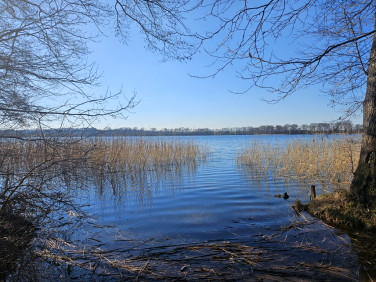 Działka budowlana Czerników sprzedam