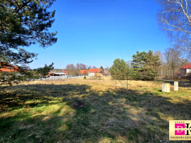 Działka Przytok