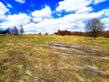 Działka Włosań
