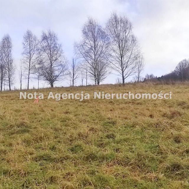 Zdjęcie 3