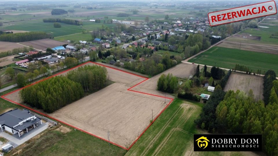 Działka Proniewicze