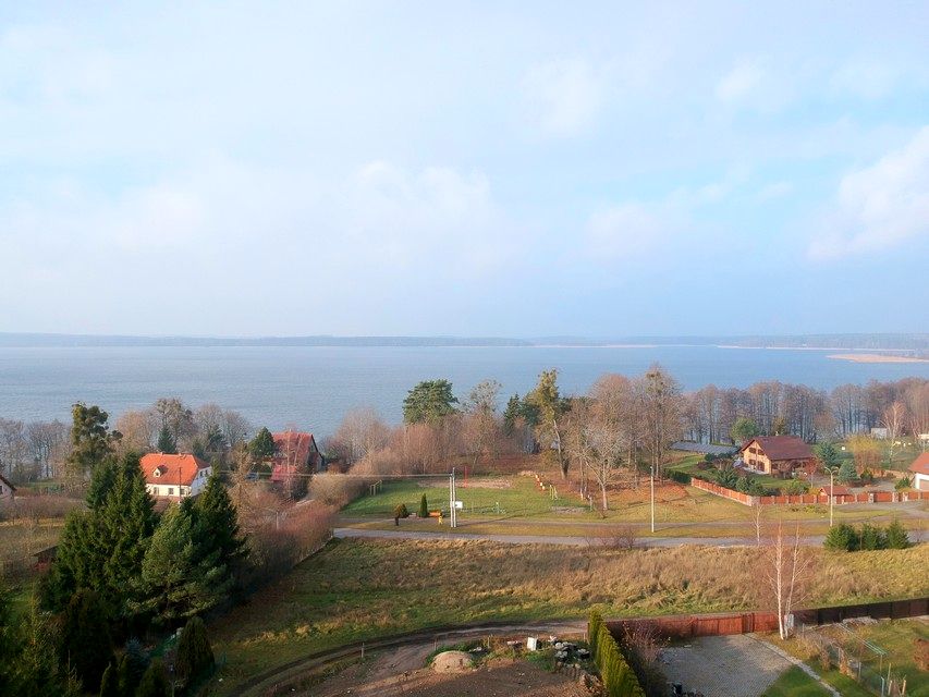 Działka przy lesie