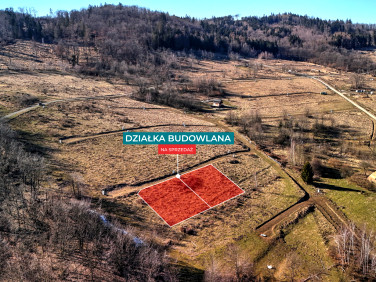 Działka Wilcza