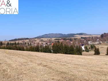 Działka Jabłów