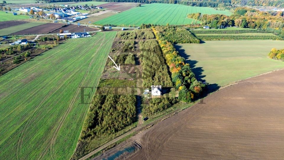 Działka Połchowo