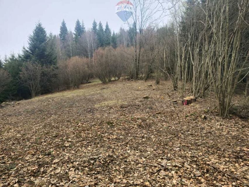 Działka Szczawnica