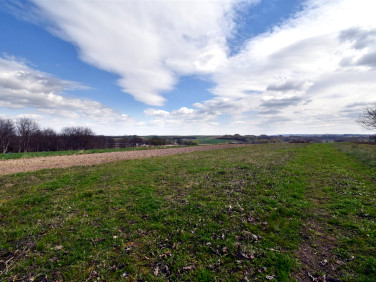 Działka Pantalowice