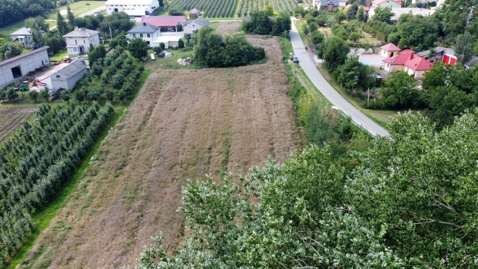 Zdjęcie 2