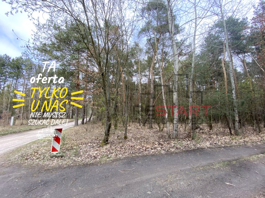 Działka leśna Budy Mszczonowskie