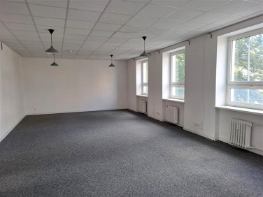 Lokal Gdynia wynajem