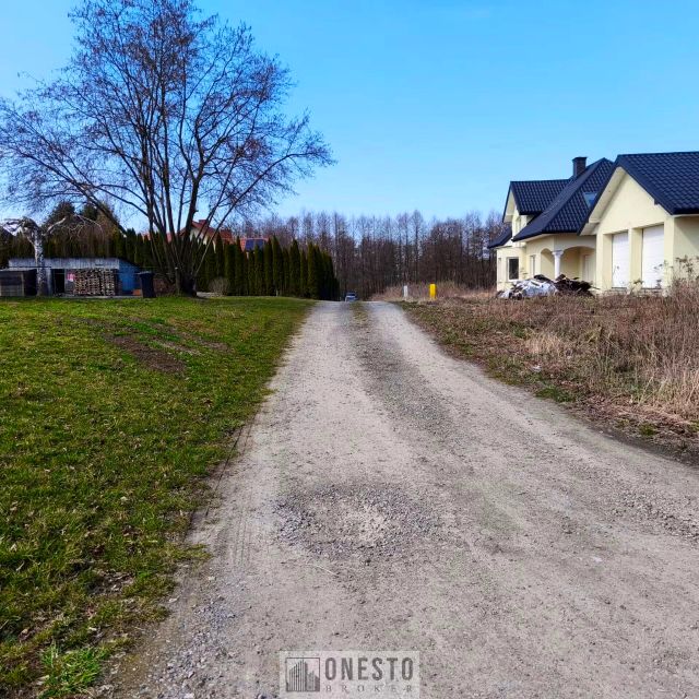 Działka Panieńszczyzna