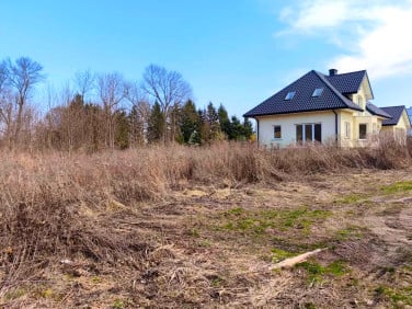 Działka Panieńszczyzna