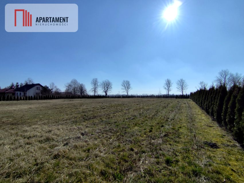 Działka Wiśniewa
