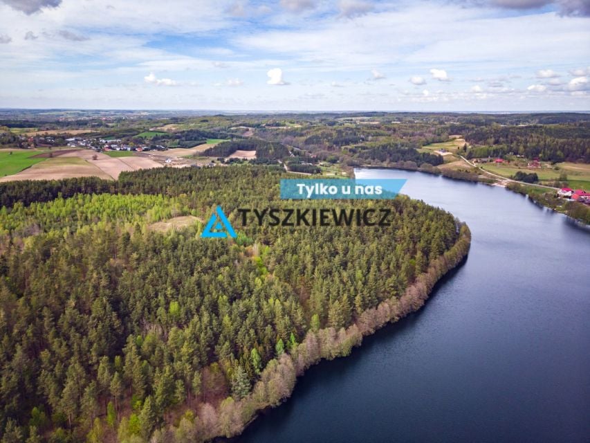 Działka leśna Ciemno sprzedam