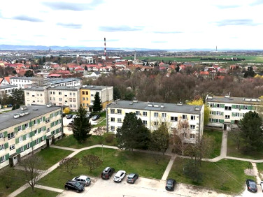 Mieszkanie Pszenno
