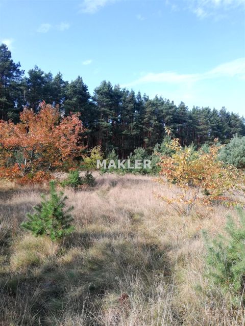 Działka budowlana dąbie nowe