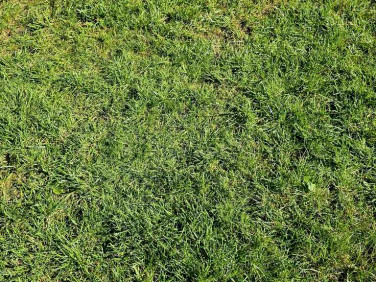 Działka budowlana Nadarzyn sprzedam