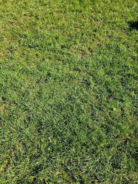 Działka budowlana Nadarzyn sprzedam