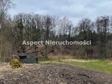 Działka budowlana Wodzisław Śląski sprzedam