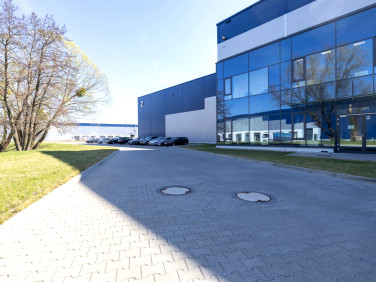 Lokal Wrocław wynajem