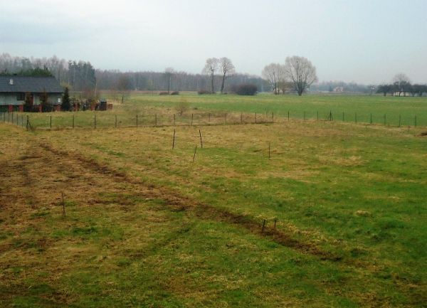 Działka budowlana Barcice Drwalewskie