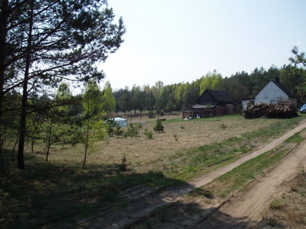 Działka siedliskowa Kowalskie Błota