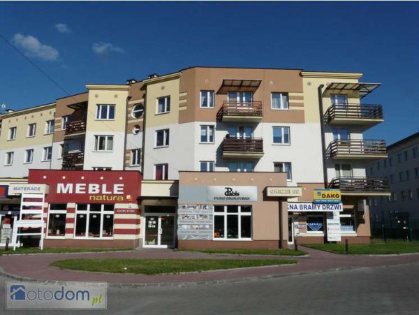 Lokal Kielce