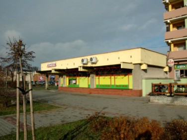 Lokal użytkowy Kędzierzyn-Koźle