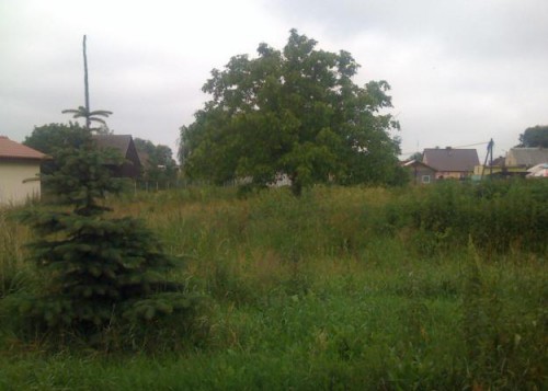 Działka Kowanowo
