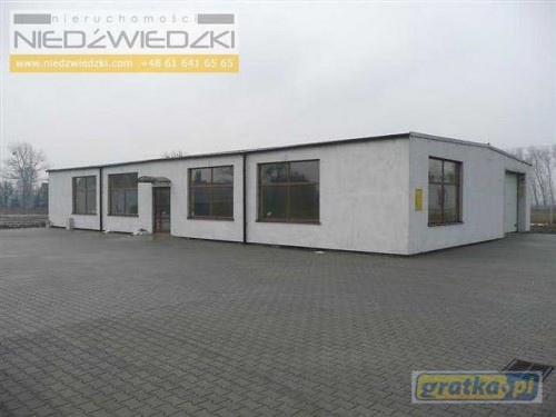 Lokal użytkowy Września