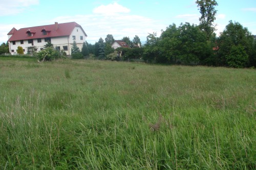 Działka Wojcieszyce